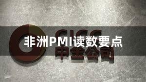 非洲PMI读数要点